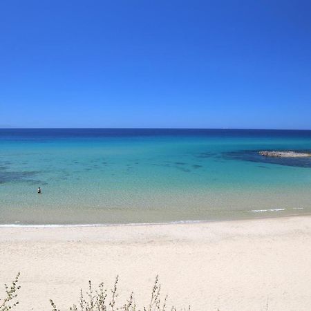 Da Nonna Maria Appartamento Castelsardo Esterno foto